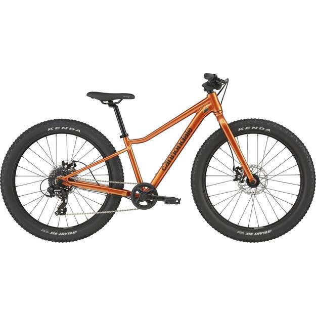 Vaikiškas dviratis CANNONDALE KIDS TRAIL PLUS 24  (C5202GU10/FOR)