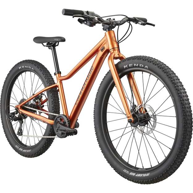Vaikiškas dviratis CANNONDALE KIDS TRAIL PLUS 24  (C5202GU10/FOR) 1