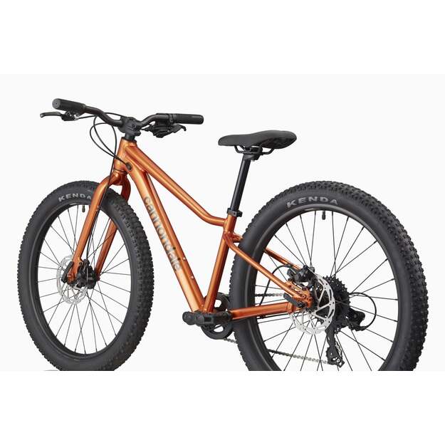 Vaikiškas dviratis CANNONDALE KIDS TRAIL PLUS 24  (C5202GU10/FOR) 2