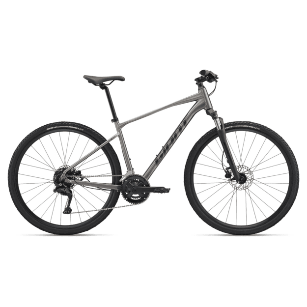 Dviratis GIANT Roam 3, metalinis