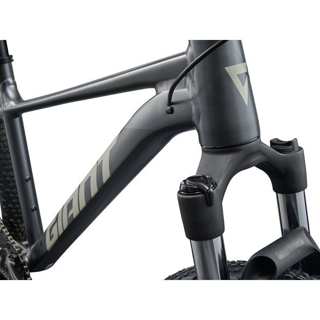 Dviratis GIANT Talon 1, 29  anglies pilka
