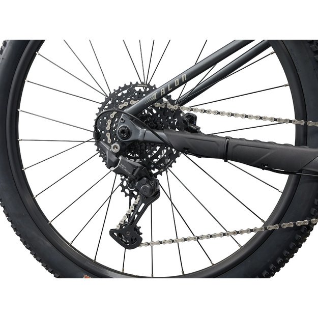 Dviratis GIANT Talon 1, 29  anglies pilka