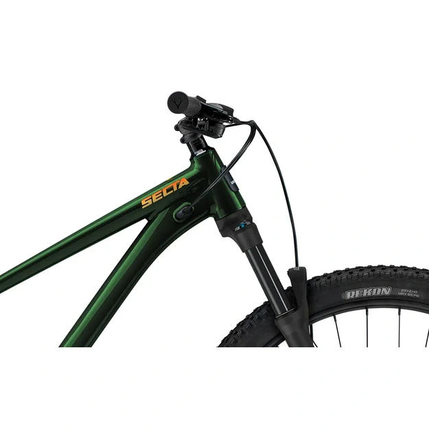 Dviratis WHYTE Secta R Forest  green (AWSECR)