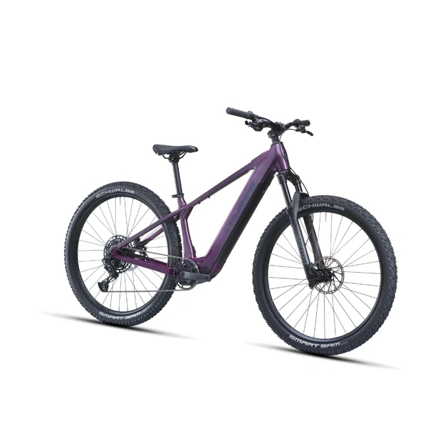 Elektinis dviratis Crussis e-Fionna AX 9.12-M2S(800Wh)