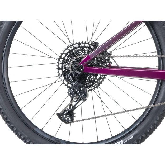 Elektinis dviratis Crussis e-Fionna AX 9.12-M2S(800Wh)