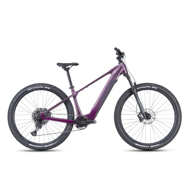Elektinis dviratis Crussis e-Fionna AX 9.12-M2S(800Wh)