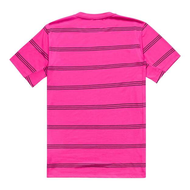 TLD DRES S KRÁTKÝM RUKÁVEM SKYLINE RIDE TEE WASHED OUT PARTY PINK (38214501) 1