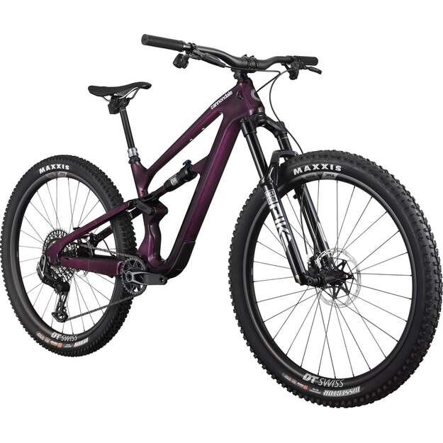 Pilnos amortizacijos dviratis CANNONDALE HABIT CARBON LTD (C23103U10/RPP) 1