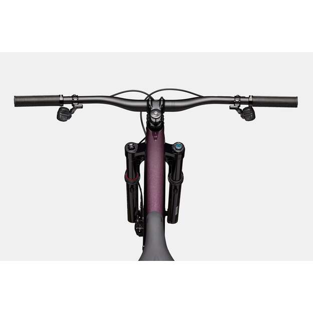 Pilnos amortizacijos dviratis CANNONDALE HABIT CARBON LTD (C23103U10/RPP) 3