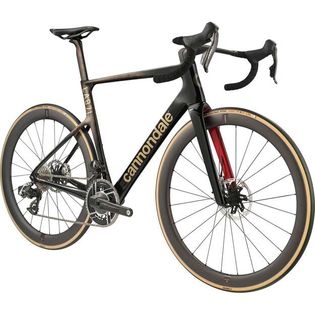 Dviratis CANNONDALE SUPER SIX EVO Hi-MOD LAB71 (C11064U10/BPT) 1