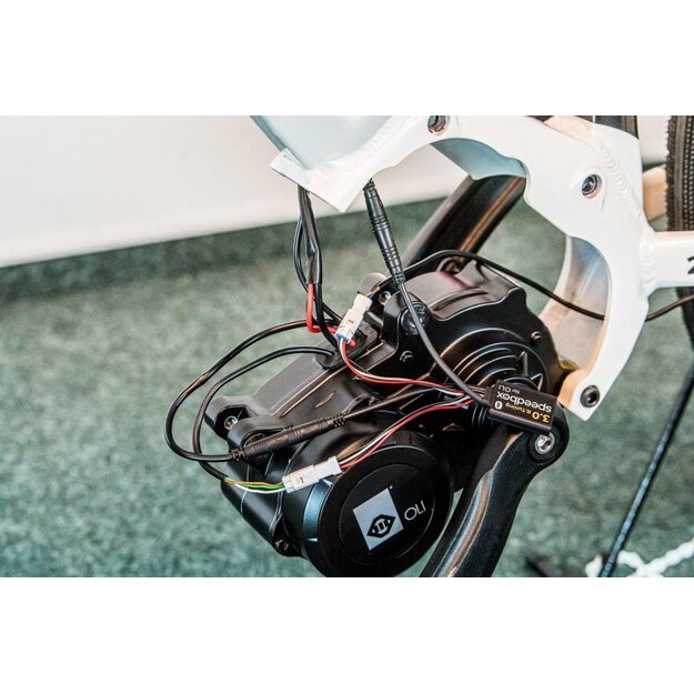 SpeedBox 3.0 B. Tuning čipas varikliams 3