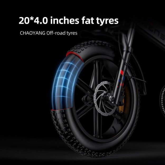 Sulankstomas elektrinis dviratis Engwe Engine X 750Wh 20" juodas 10