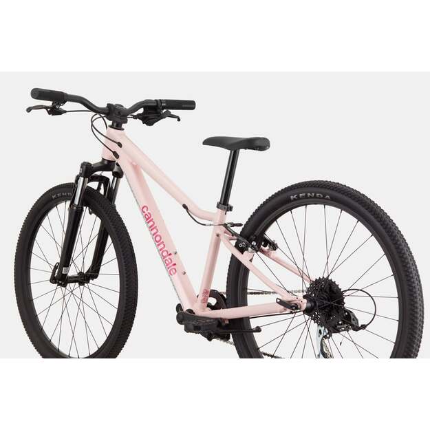 Vaikiškas dviratis CANNONDALE TRAIL 24  (C51602U20/DPK) 2