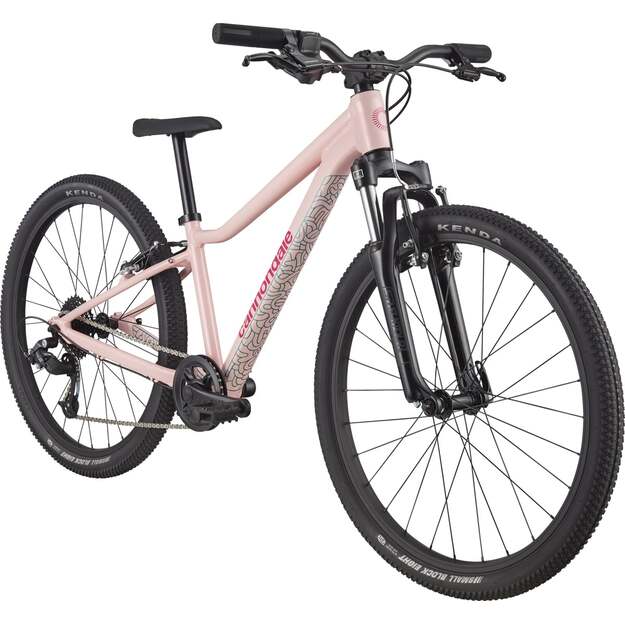 Vaikiškas dviratis CANNONDALE TRAIL 24  (C51602U20/DPK) 1