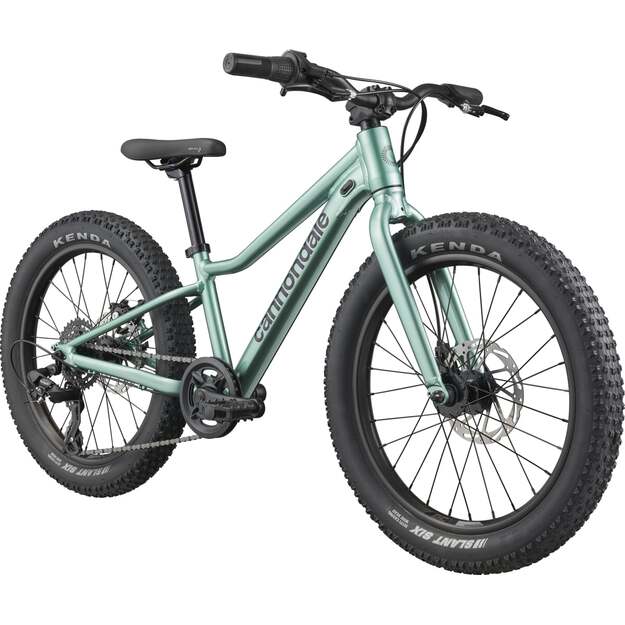 Vaikiškas dviratis CANNONDALE KIDS TRAIL PLUS 20  (C5203GU20/CTG)