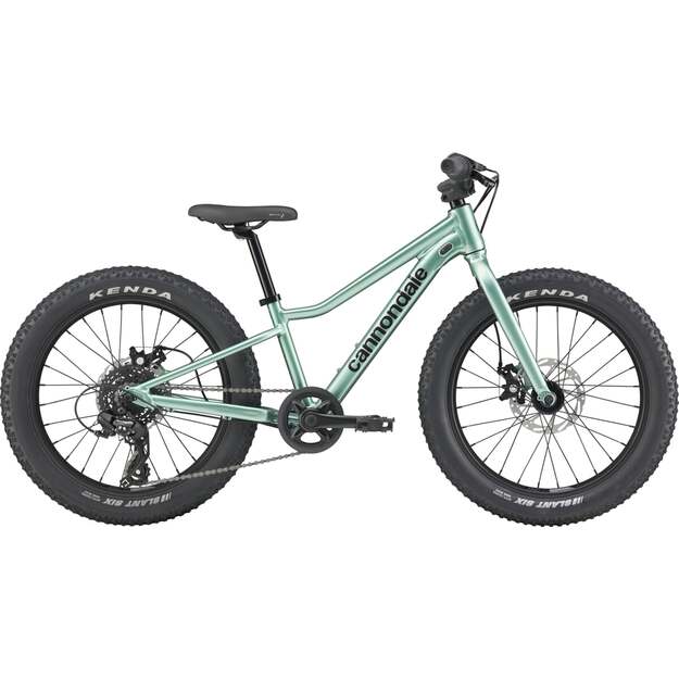 Vaikiškas dviratis CANNONDALE KIDS TRAIL PLUS 20  (C5203GU20/CTG) 1
