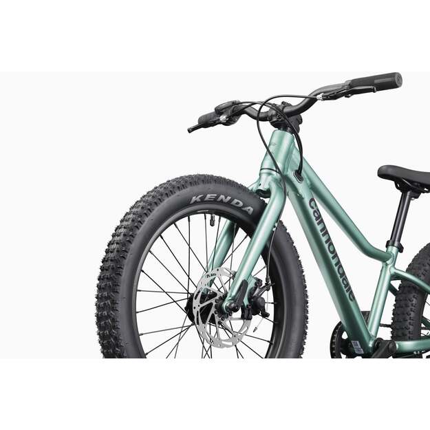 Vaikiškas dviratis CANNONDALE KIDS TRAIL PLUS 20  (C5203GU20/CTG) 3