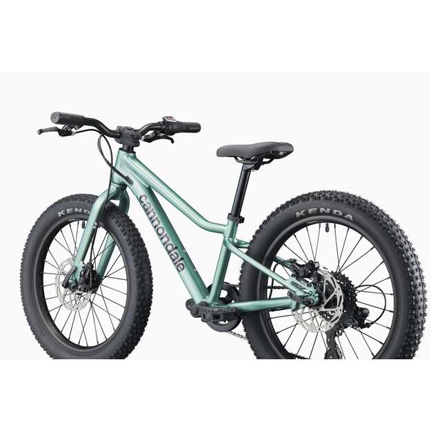 Vaikiškas dviratis CANNONDALE KIDS TRAIL PLUS 20  (C5203GU20/CTG) 2