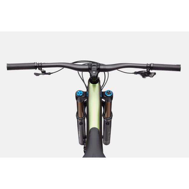 Pilnos amortizacijos dviratis CANNONDALE JEKYLL 29 CARBON 1 (C21102U10/BGN) 4