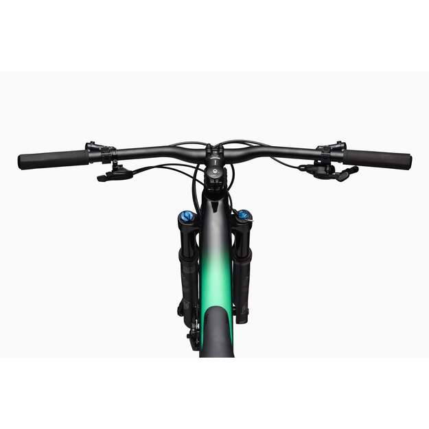 Pilnos amortizacijos dviratis CANNONDALE SCALPEL 29  Carbon 4 (C24402M10/JNG) 3