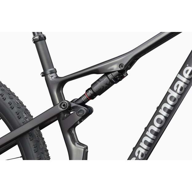 Pilnos amortizacijos dviratis CANNONDALE SCALPEL 29  CARBON 2 LEFTY (C24354U10/SBK) 10