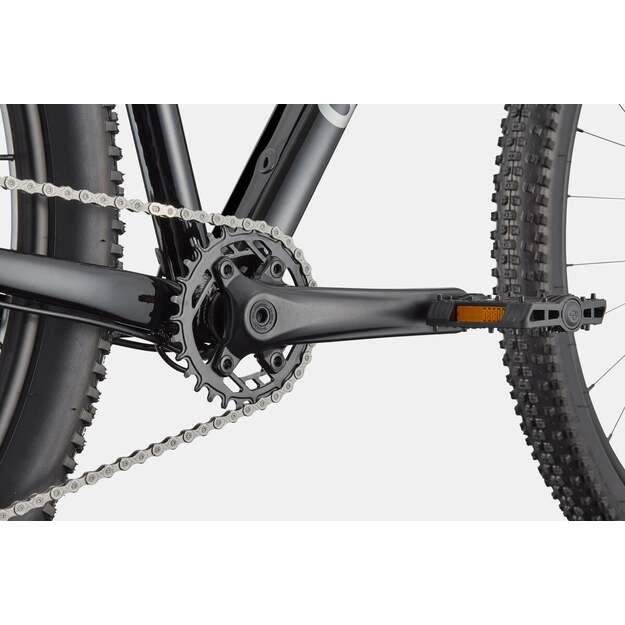 Dviratis CANNONDALE TRAIL 1 (C26055U10/BLK) 1