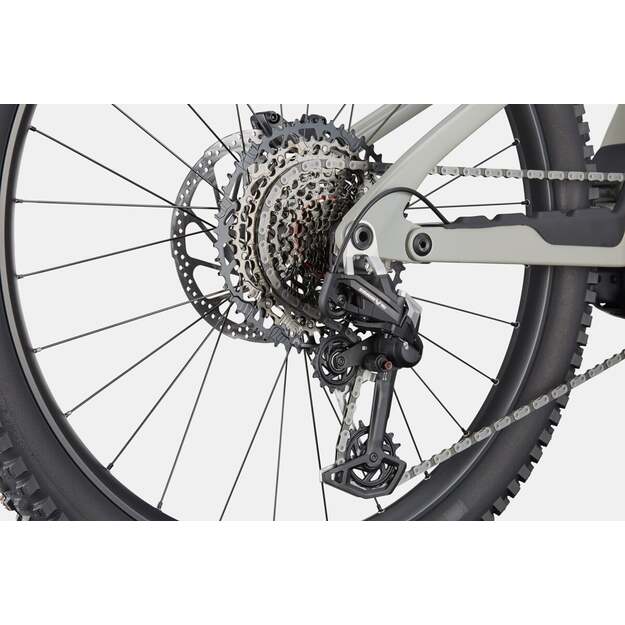 Pilnos amortizacijos elektrinis dviratis CANNONDALE MOTERRA CARBON LT 1 (C65134U20/TSK) 5