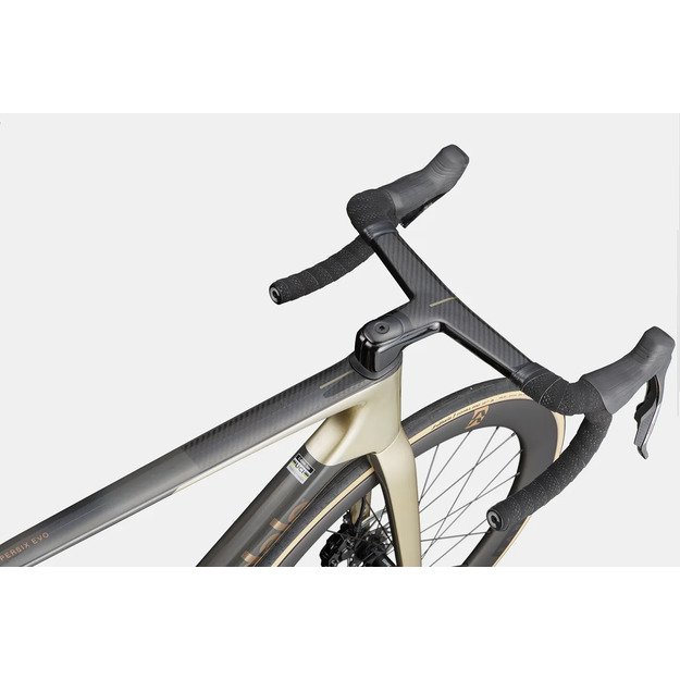 Dviratis CANNONDALE SUPER SIX EVO 1 (C1117GU10/PLT) 4