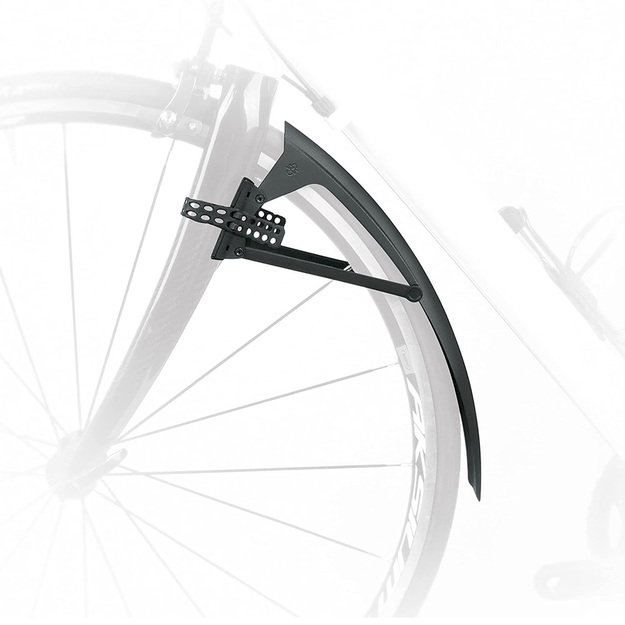 Galinis purvasaugis SKS S-Board (juodas) 2