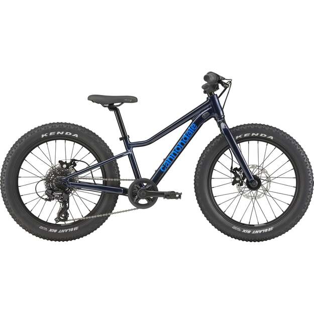 Vaikiškas dviratis CANNONDALE KIDS TRAIL PLUS 20  (C5203GU10/MDN) 1