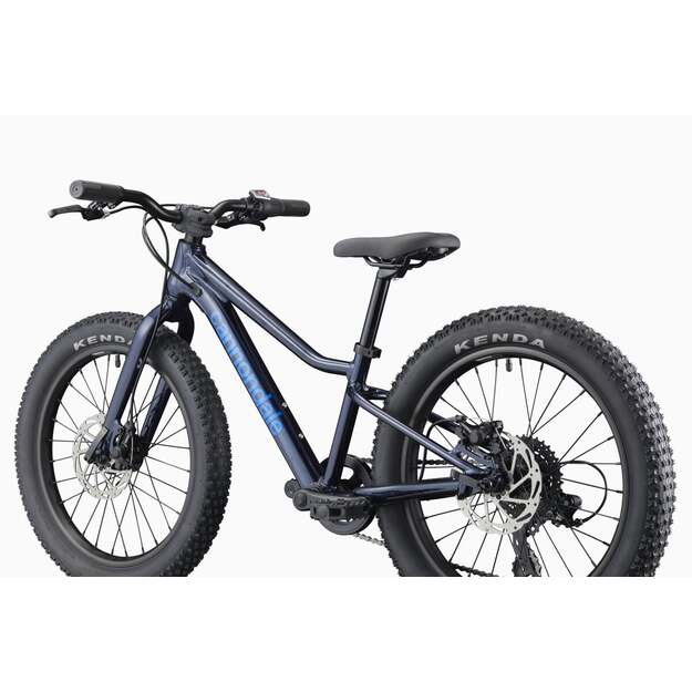 Vaikiškas dviratis CANNONDALE KIDS TRAIL PLUS 20  (C5203GU10/MDN) 2