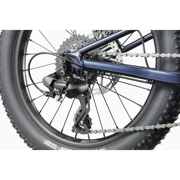 Vaikiškas dviratis CANNONDALE KIDS TRAIL PLUS 20  (C5203GU10/MDN) 5