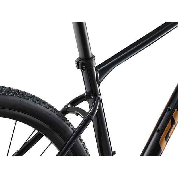 Dviratis GIANT Roam 4, juodas