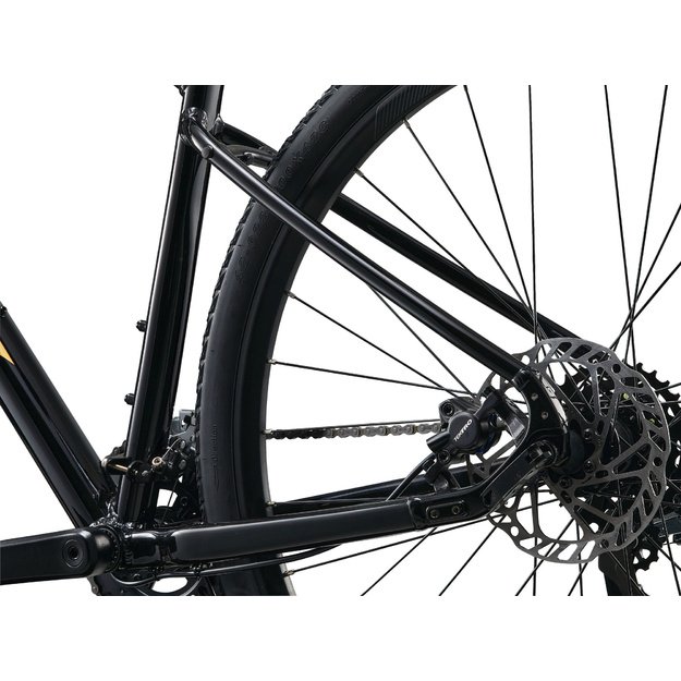 Dviratis GIANT Roam 4, juodas