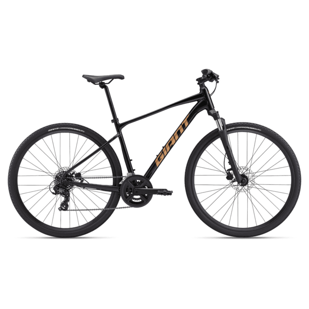 Dviratis GIANT Roam 4, juodas