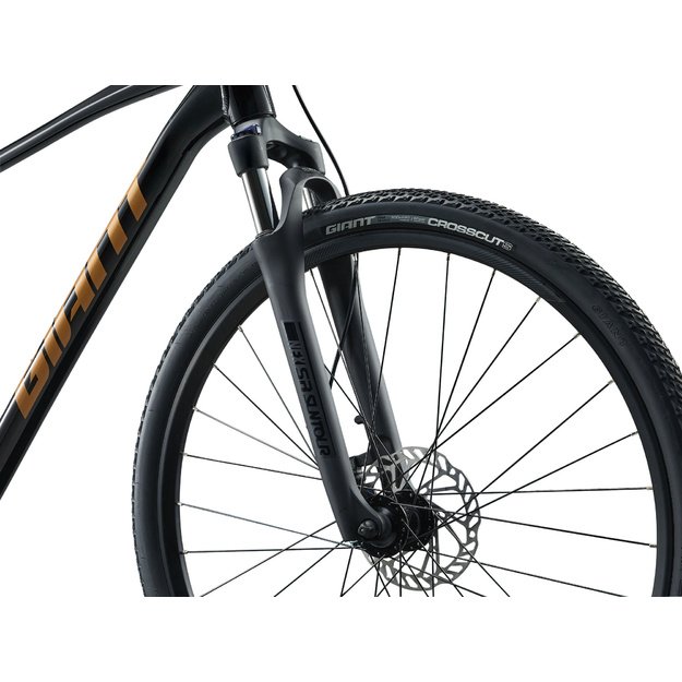Dviratis GIANT Roam 4, juodas