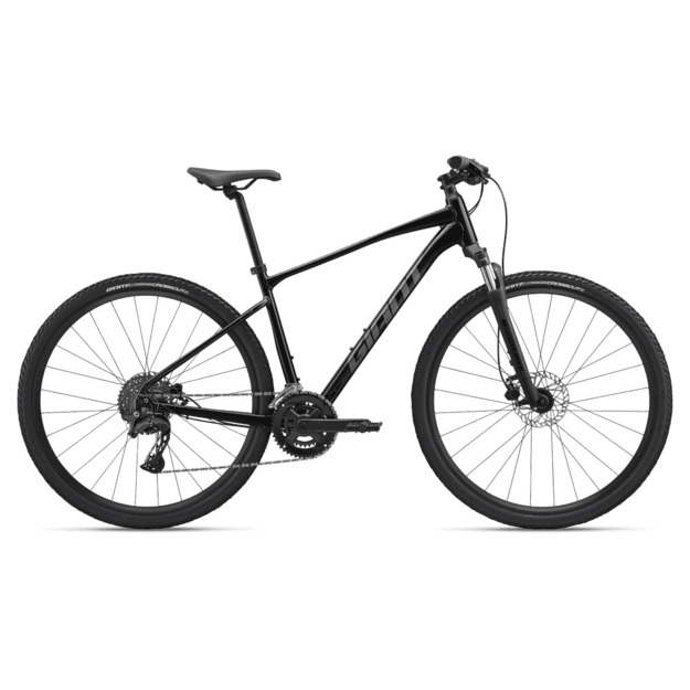 GIANT Roam 2 dviratis, juodas