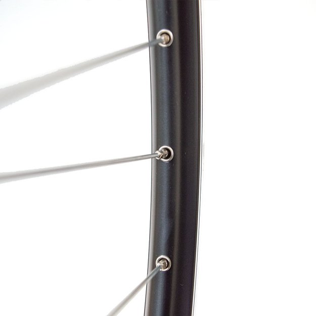 Priekinis ratas 28/29  v-brake 36H, QR, dvigubas