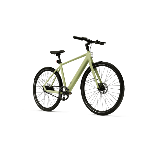 Elektrinis dviratis TENWAYS CGO600 PRO (žalios spalvos) V1 1