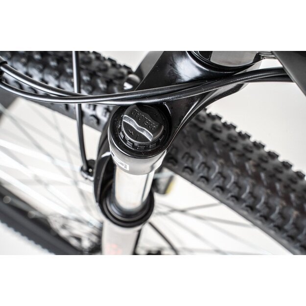 Elektrinis dviratis Lovelec Alkor 17" 3