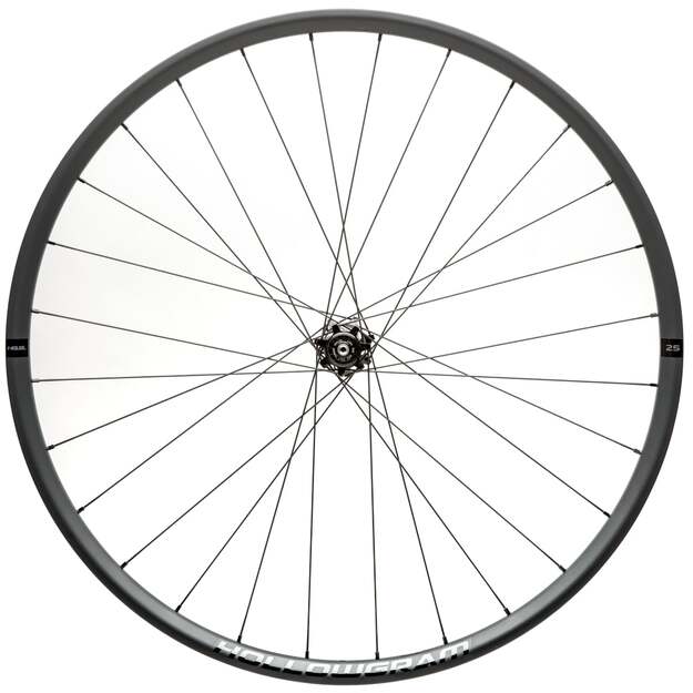 Galinis ratas CANNONDALE HOLLOWGRAM HG SL 25 RR 148X12 6B MS AI3 29 (CP8001U1029)